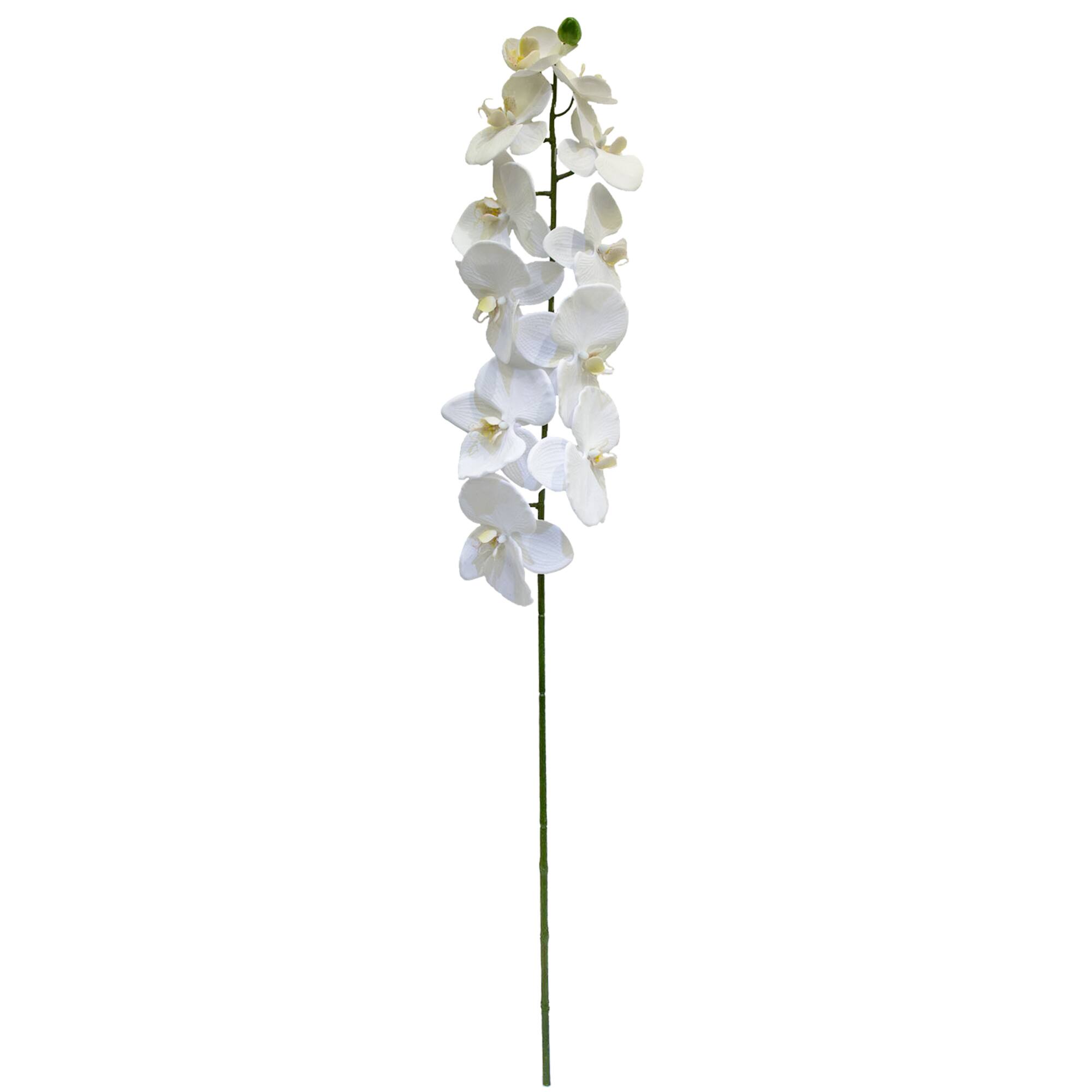 12 Pack: White Orchid Stem by Ashland®